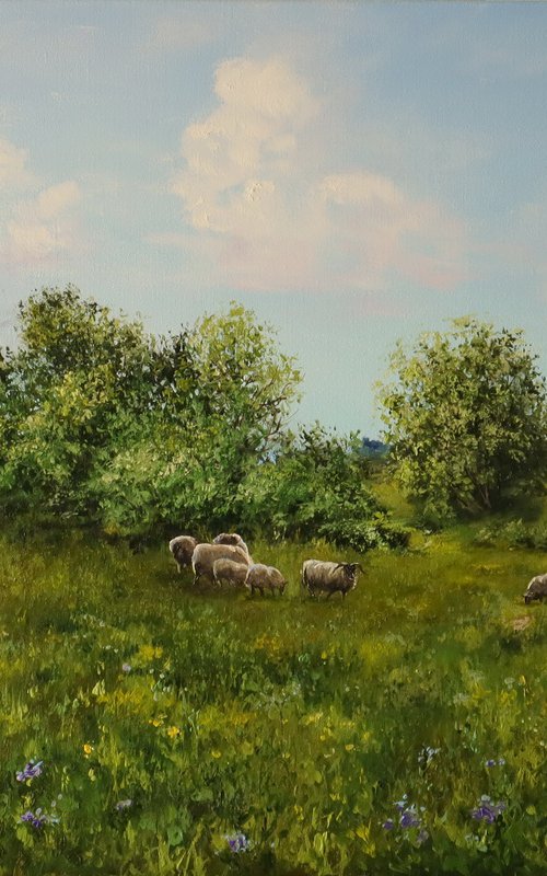 Sheep in a Meadow by Natalia Shaykina