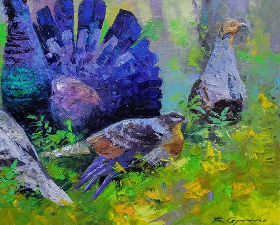 Black Grouse in the Summer Forest