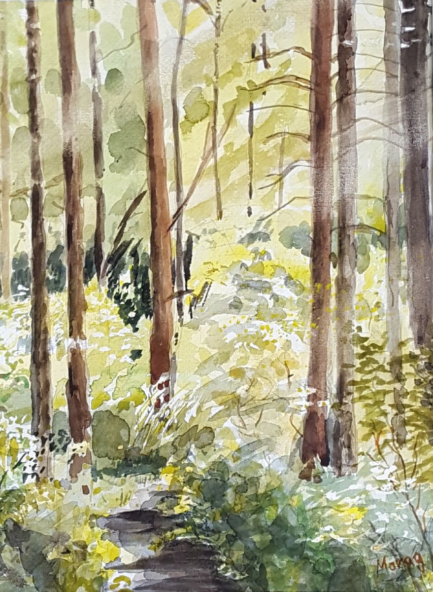 Spring Forest by Morag Paul