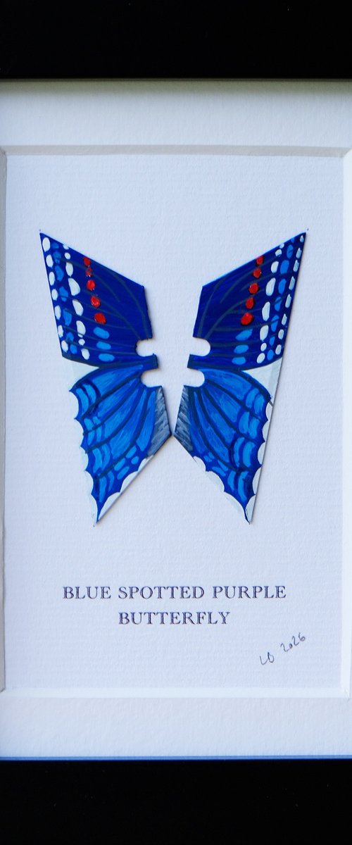 Blue-spotted Purple Butterfly by Lene Bladbjerg