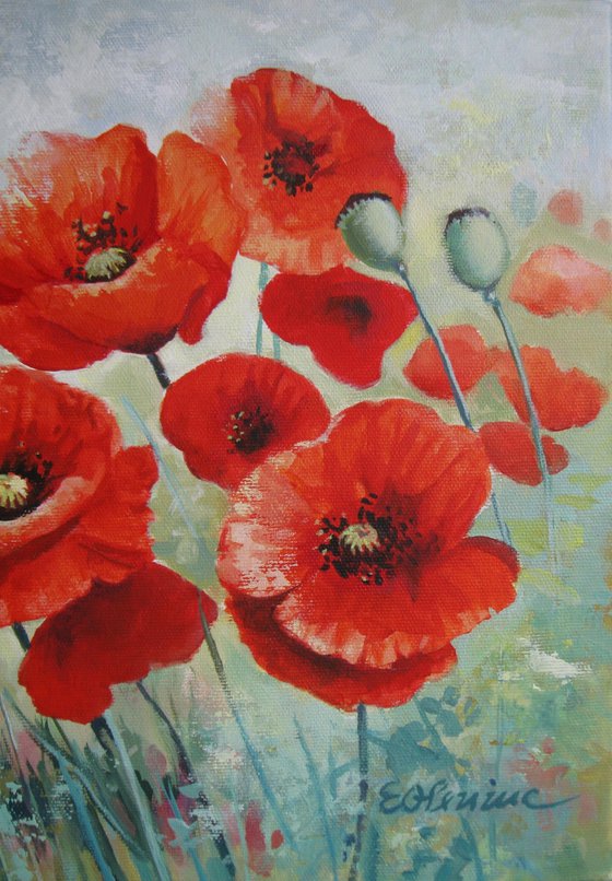 Poppies