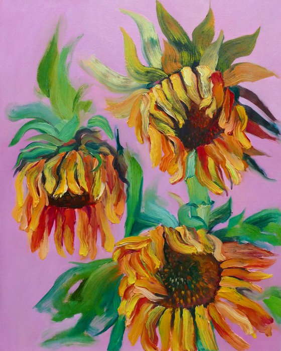 Wilting Sunflowers IV