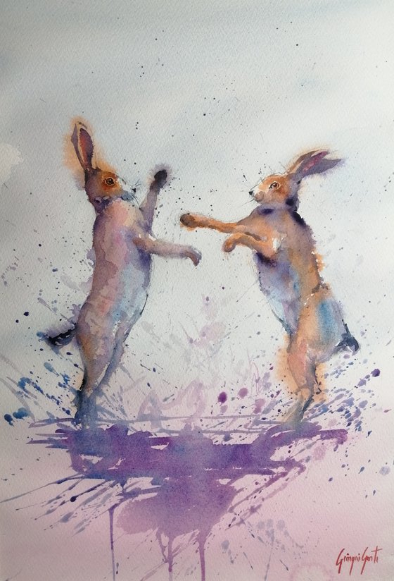 fighting hares