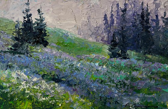 Mountain Meadows