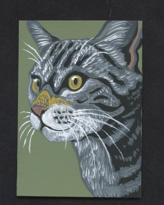 ACEO ATC Original Miniature Painting Gray Tabby Cat Pet Feline Art-Carla Smale