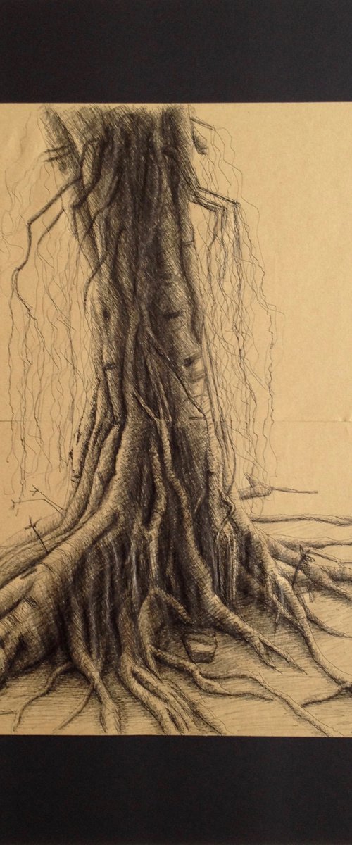 Banyan Tree 2 by David Lloyd