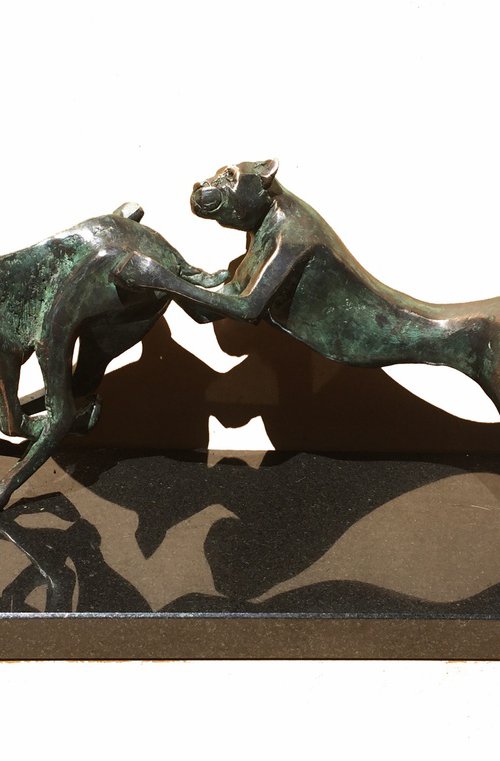 Hunting by Toth Kristof