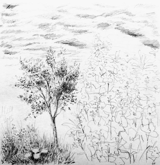 Plein air. Sketch # 10. Original pencil drawing.