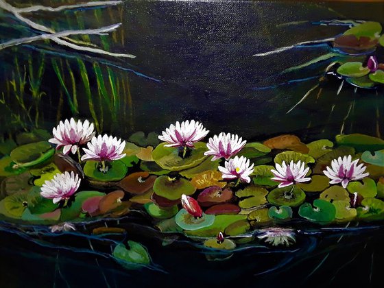 Water Lilies II 2017