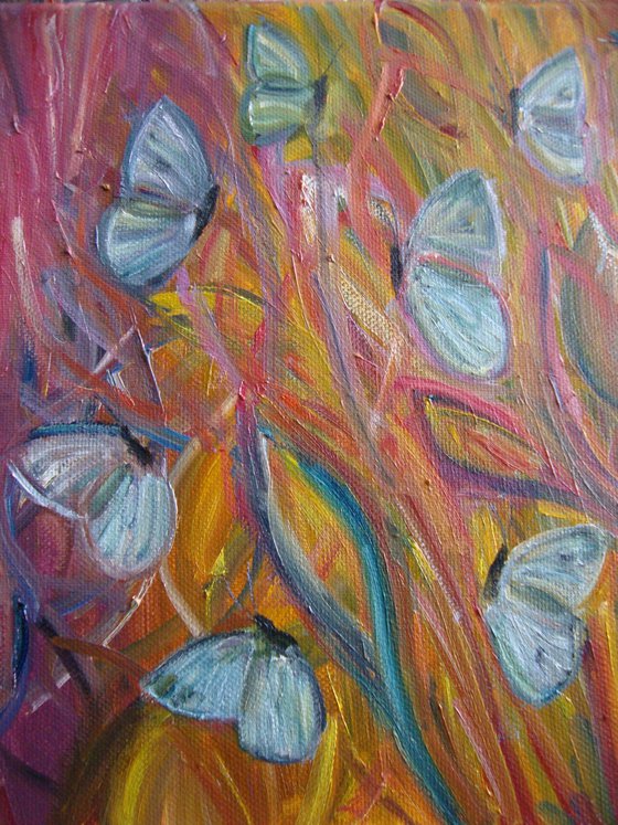Dance of the butterflies