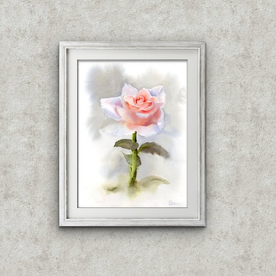 Single Rose