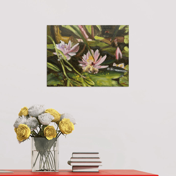Waterlilies 2