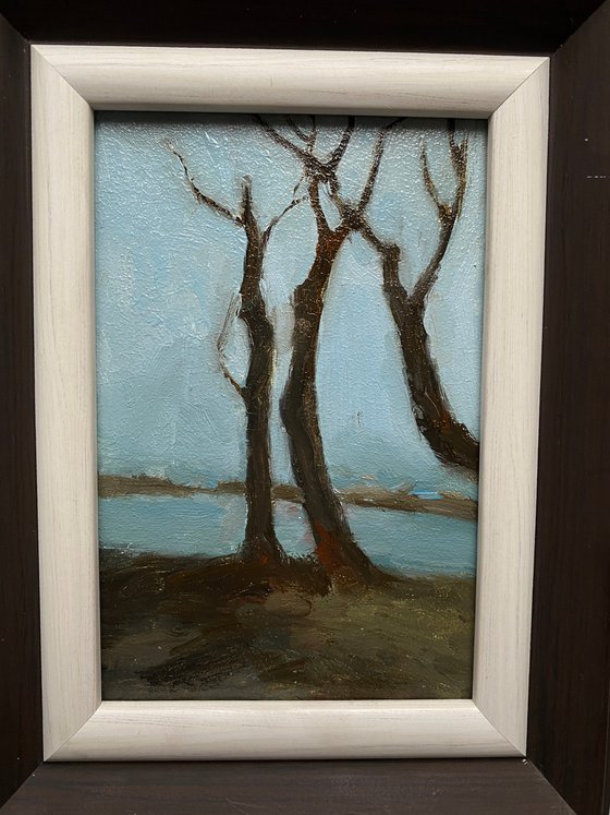 Tree on the river Dnipro