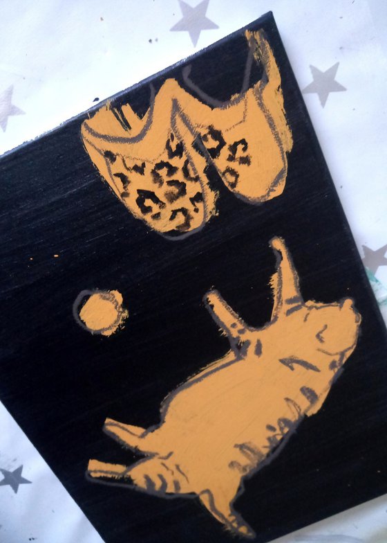 #6/24 Tiger cat on a black background