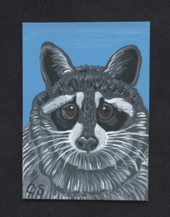 ACEO ATC Original Miniature Painting Raccoon Wildlife Art-Carla Smale