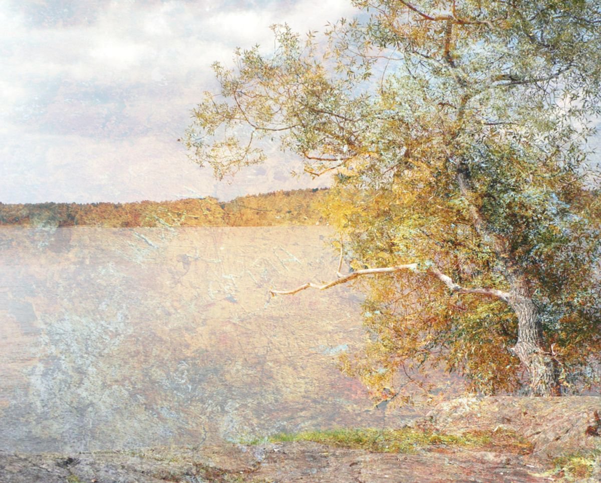 Illustrative Landscape Photograph By Srdjan Jevtic, 39 X 31", On The Lake Shore, Original Artwork