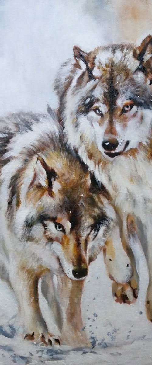 Wolves on the snow by Magdalena Palega