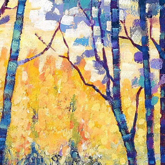 Sunbeams in the forest