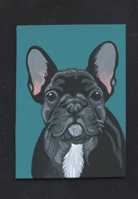 Black French Bulldog