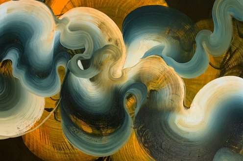 Cover image for Best of October collection