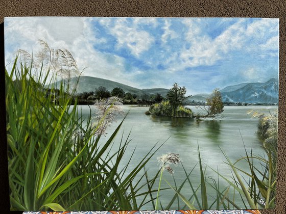 Whispers of the Sebino Wetlands