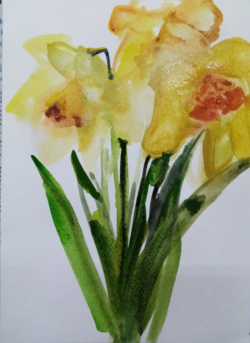 Tender daffodils 2 by Oxana Raduga