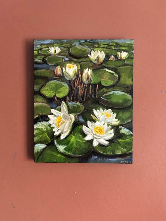 Water lilies