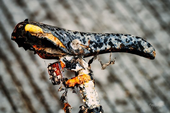 Taken by the Sea III