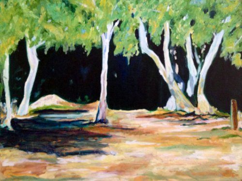 Trees Near the River by Sandi J. Ludescher