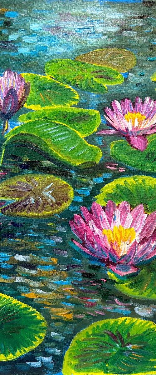 Pink Water Lilies on the Pond by Dmitry Fedorov