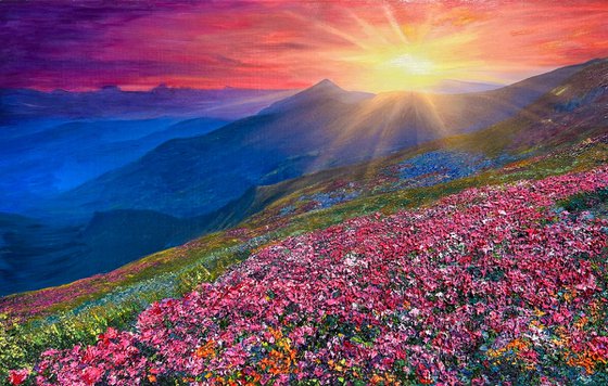 Crocus Sunset