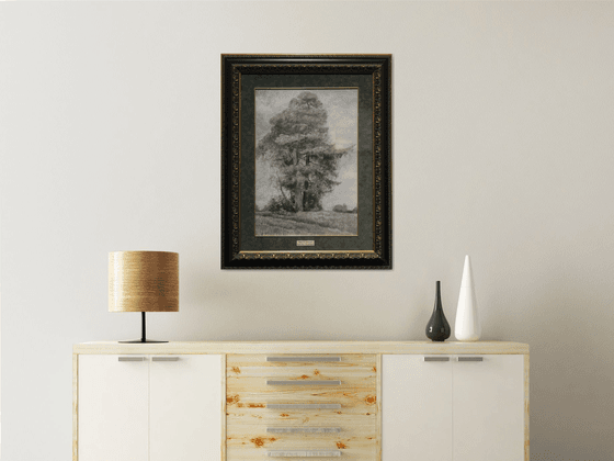 Pine and Spruce