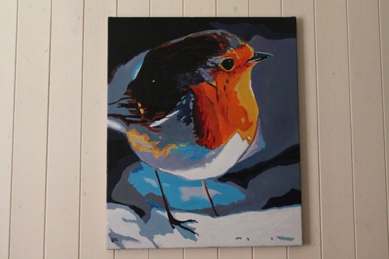 Mr Robin