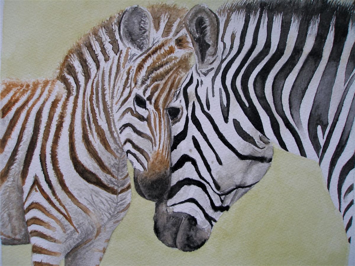 Mother and Baby Zebra by Kamila Lipman