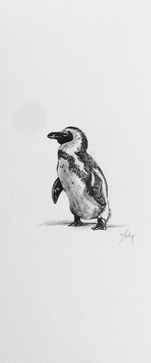 Penguin by Amelia Taylor