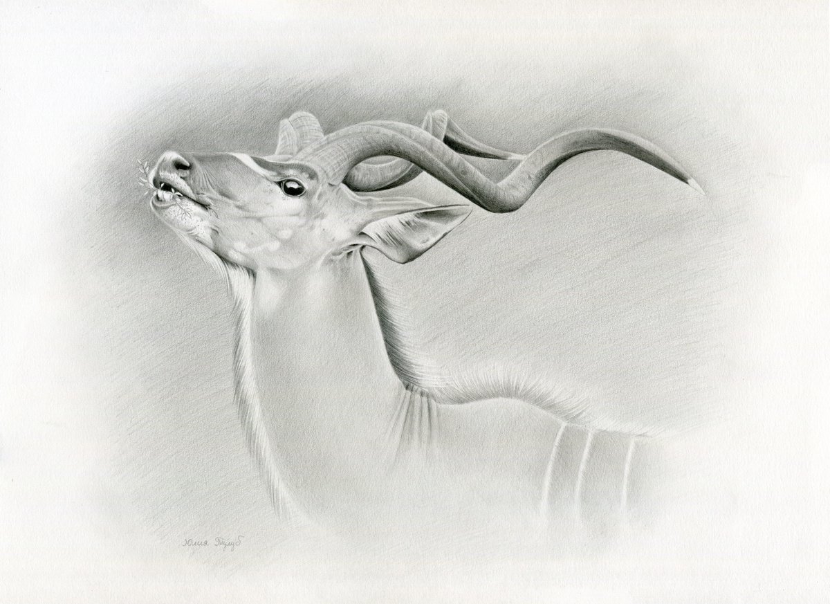 The Greater Kudu by Julia Tulub