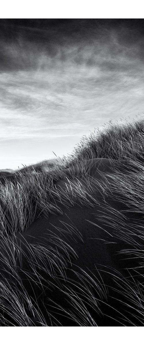 Dune Portrait IV by David Baker