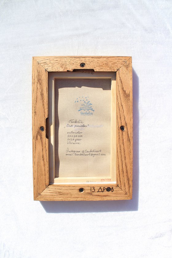 Sunset in the Buckwheat field