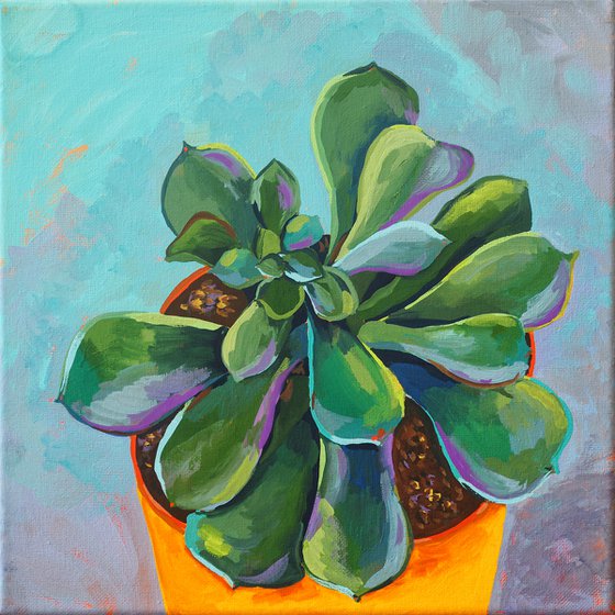 Pet succulent - original artwork