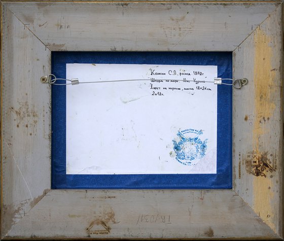 Storm at sea. Cape Kuron