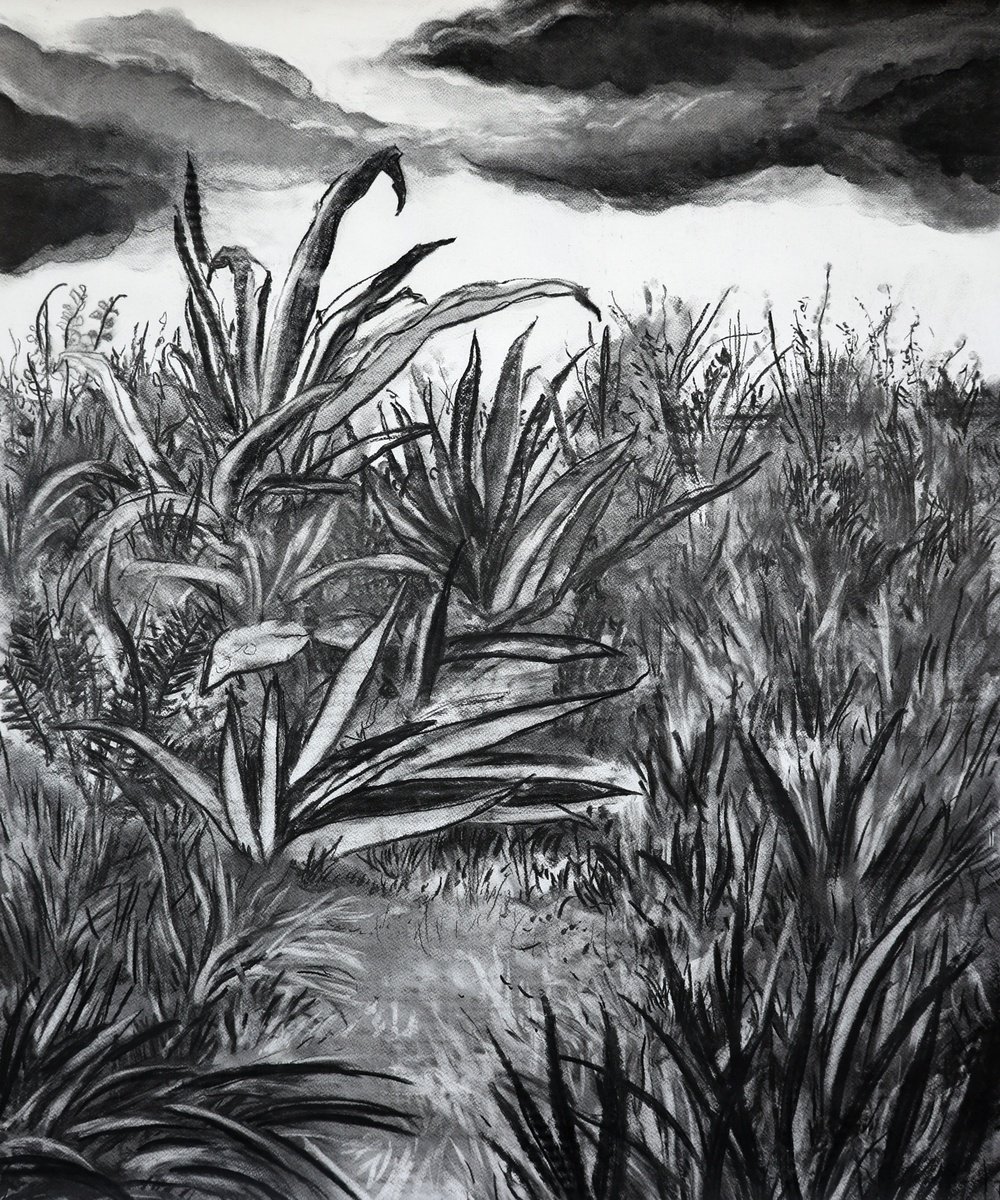 Expressive Landscape Charcoal Drawing By Dominic Virtosu, 30 X 36, Dark Clouds, Original Artwork