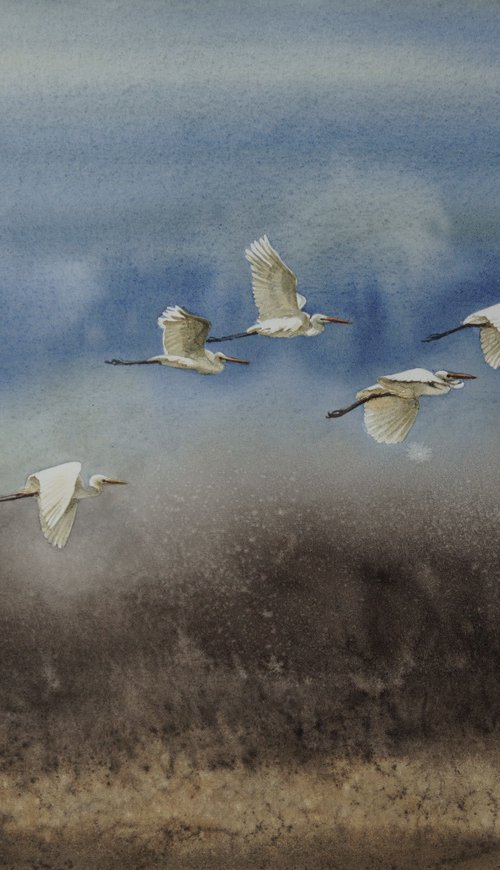 Flock of Snowy Egrets flying by Olga Beliaeva Watercolour