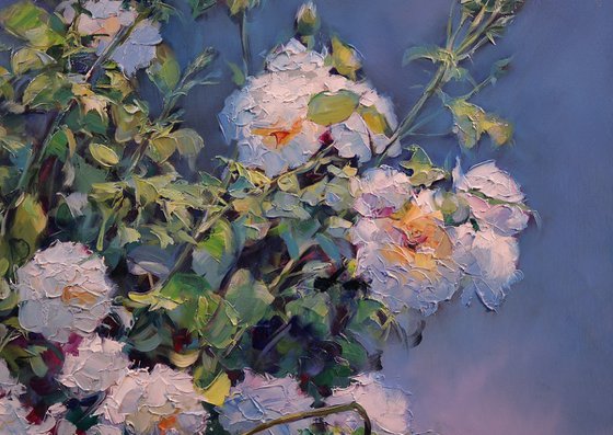 "Rose bush"