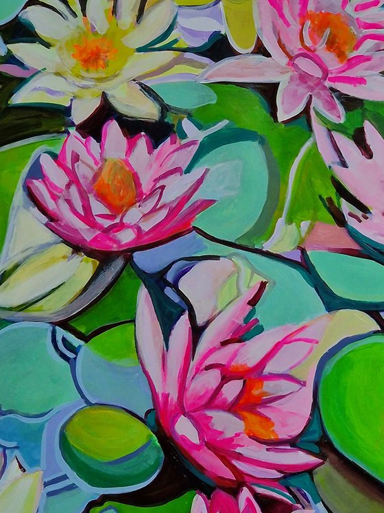 Water lilies