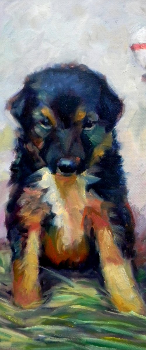 Puppy2 from the series "Take me with you" by Liudmyla Chemodanova