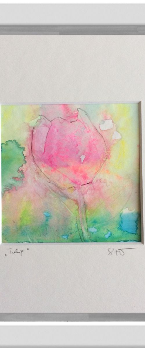 Tulip II by Gesa Reuter