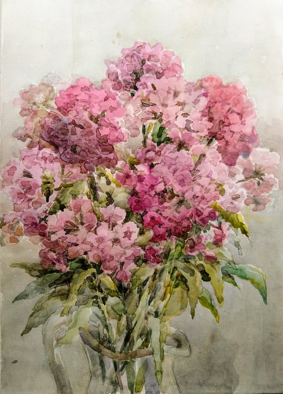 Bouquet of Phloxes. Original watercolour painting.