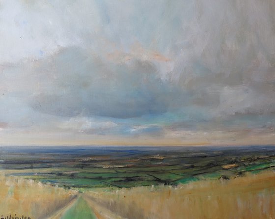 Yorkshire Wolds,  July 22