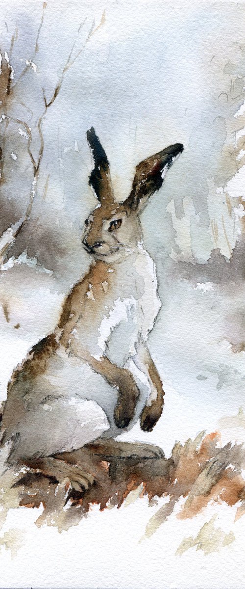 Hare in winter the forest, Watercolor animal by Yulia Evsyukova