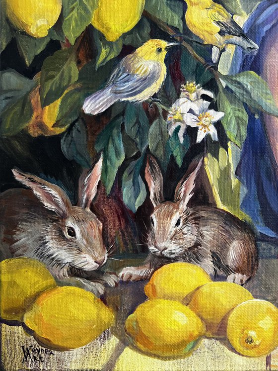 Sleeping under a lemon tree